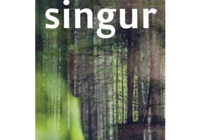 Singur - Sebastian Lazaroiu