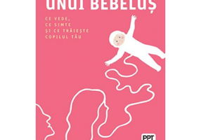 Jurnalul unui bebelus. Ce vede, ce simte si ce traieste copilul tau - Daniel N. Stern