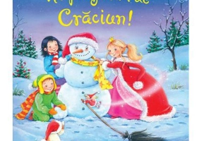 Ne pregatim de Craciun