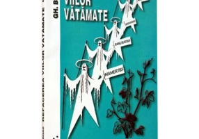 Refacerea viilor vatamate - Gheorghe Bernaz