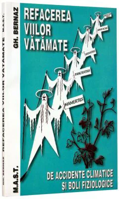 Refacerea viilor vatamate - Gheorghe Bernaz