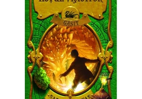 Hotul vrajitor gasit - Sarah Prineas