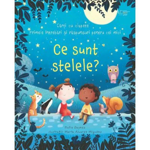 Ce sunt stelele? (Usborne)