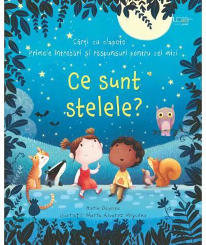 Ce sunt stelele? (Usborne)