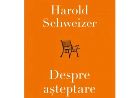 Despre asteptare - Harold Schweizer