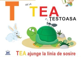 T de la Tea, testoasa. Cartonata - Greta Cencetti