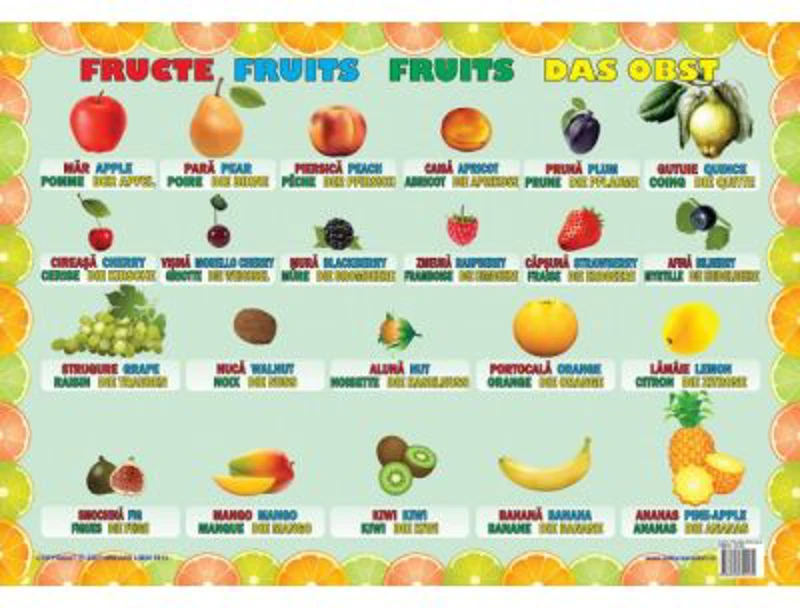 Fructe - Plansa educativa