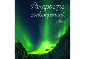 Parapoezie contemporana - Constantin Nitu