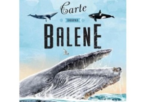 Marea carte despre balene