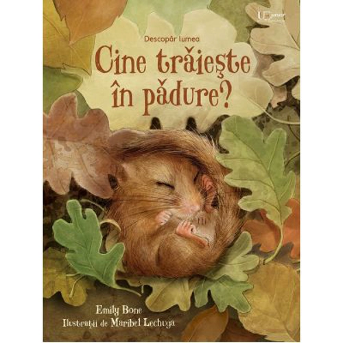 Cine traieste in padure? (Usborne)