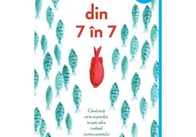 Din 7 in 7. Paperback - Holly Goldberg Sloan