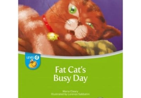 Fat Cat's Busy Day BIG BOOK Level D Reader