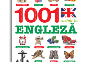 1001 cuvinte in engleza. Despre lume