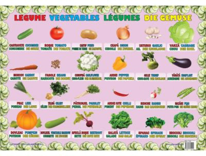 Legume - Plansa educativa
