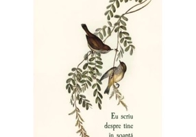 Eu scriu despre tine in soapta (Volum de versuri)