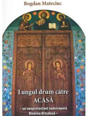 Lungul drum catre Acasa - Bogdan Mateciuc