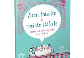 Ziceri trasnite si cuvinte stalcite - Francesco Fagnani