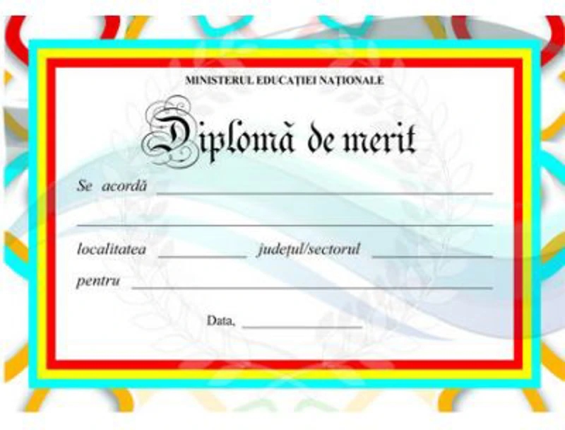 Diploma scolara de MERIT (DLFD010B)