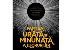 Partea urata si minunata a lucrurilor