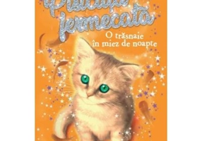 Pisicuta fermecata. O trasnaie in miez de noapte