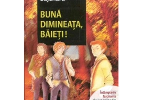 Buna dimineata, baieti! (Continuare romanului Cismigiu et Comp) - Grigore Bajenaru