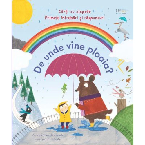 De unde vine ploaia? (Usborne)