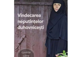 Vindecarea neputintelor duhovnicesti - Sfantul Teofan Zavoratul