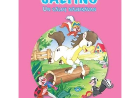 Saltino, un calut nazdravan