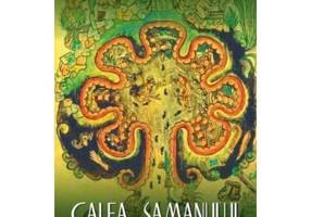 Calea samanului. Un ghid pentru putere si vindecare - Michael Harner