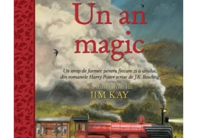 Harry Potter. Un an magic