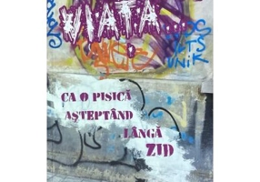 Viata ca o pisica asteptand langa zid - Adya Ennsah