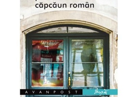 Jurnalul unui capcaun roman - Liviu Druga