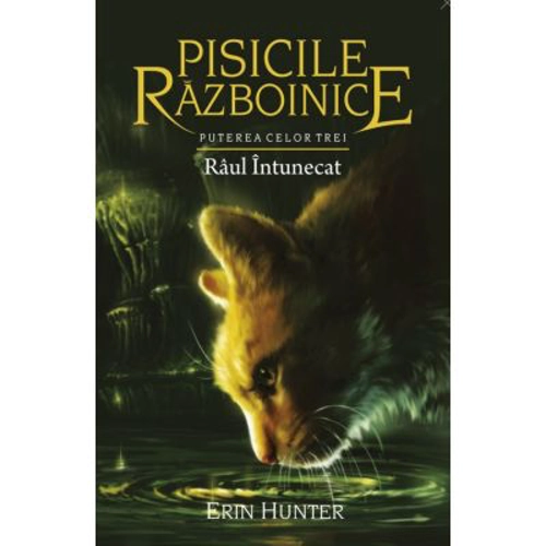 Pisicile Razboinice. Puterea celor trei. Cartea 14. Raul intunecat - Erin Hunter