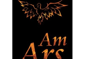 Am ars. Intre vis si realitate