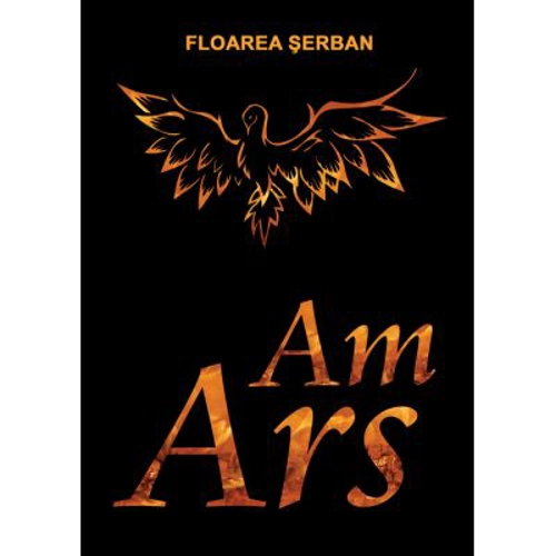 Am ars. Intre vis si realitate