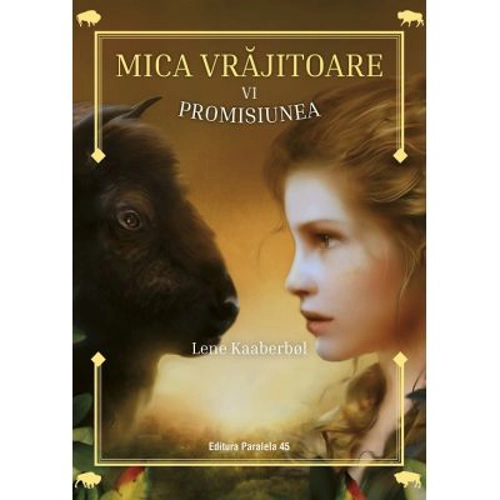 Mica vrajitoare: Promisiunea (6) - Lene Kaaberbol