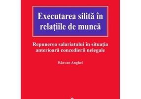 Executarea silita in relatiile de munca. Repunerea salariatului in situatia anterioara concedierii nelegale - Razvan Anghel