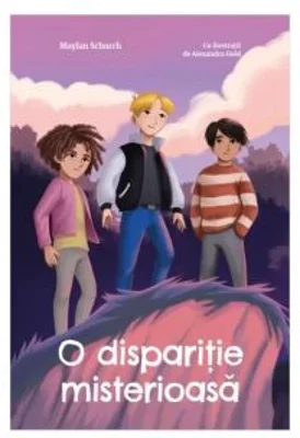O disparitie misterioasa