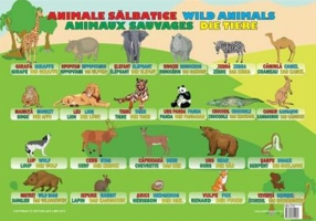 Animale Salbatice - Plansa educativa