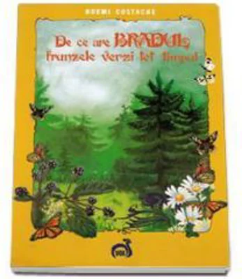 De ce are Bradul frunzele verzi tot timpul - Noemi Costache