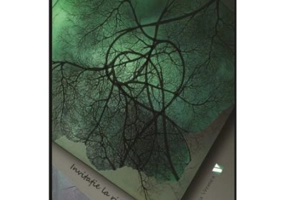 Invitatie la ritual - Adriana Mihaescu