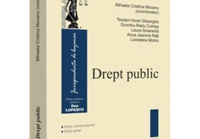 Drept public. Drept contraventional. Drept penal - Mihaela Cristina Mocanu