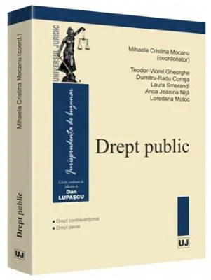 Drept public. Drept contraventional. Drept penal - Mihaela Cristina Mocanu