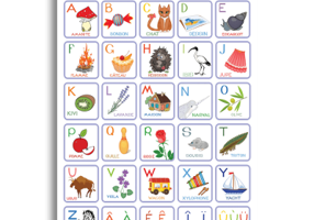 Plansa - Alfabetul ilustrat al limbii franceze