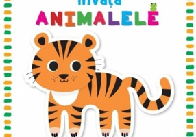 Invata animalele