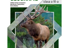 Geografie. Manual clasa a 6-a - Catalina Serban