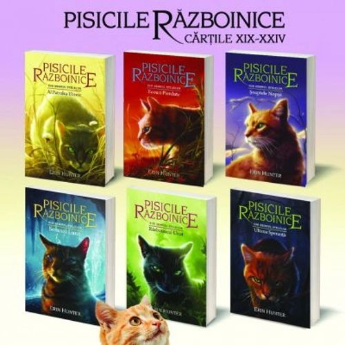 Pachet Pisicile Razboinice. Seria IV. Cartile XIX - XXIV