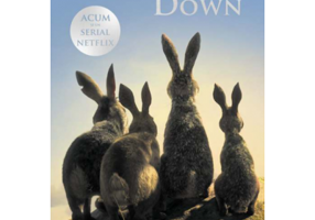 Watership Down