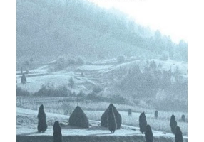 Stravezimea frumusetii - Paul Gherasim, Marius Pandele