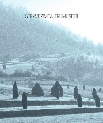 Stravezimea frumusetii - Paul Gherasim, Marius Pandele